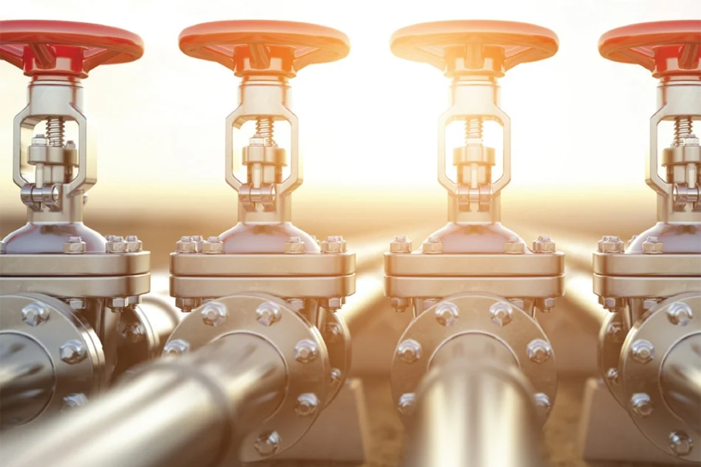  Sensor based leakage audit